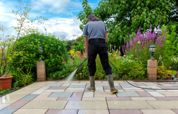Best Patio and Deck Pressure Washing  in Clifton, TN