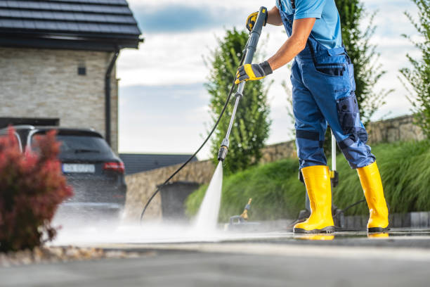 Animal Enclosure Cleaning in Clifton, TN